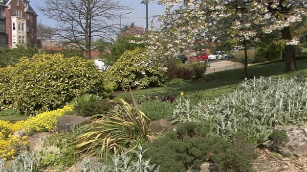 Pannett Park