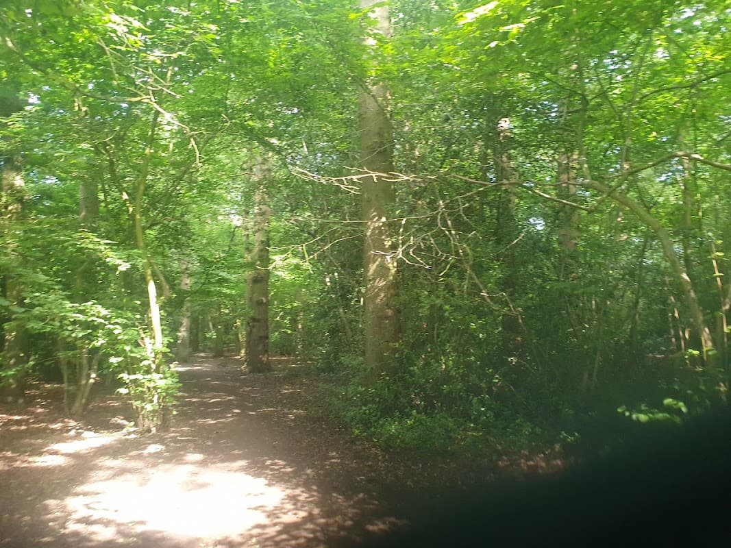 Acomb Wood & Natural Reserve