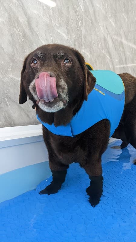 The Harrogate Vet Physio Hydrotherapy Centre