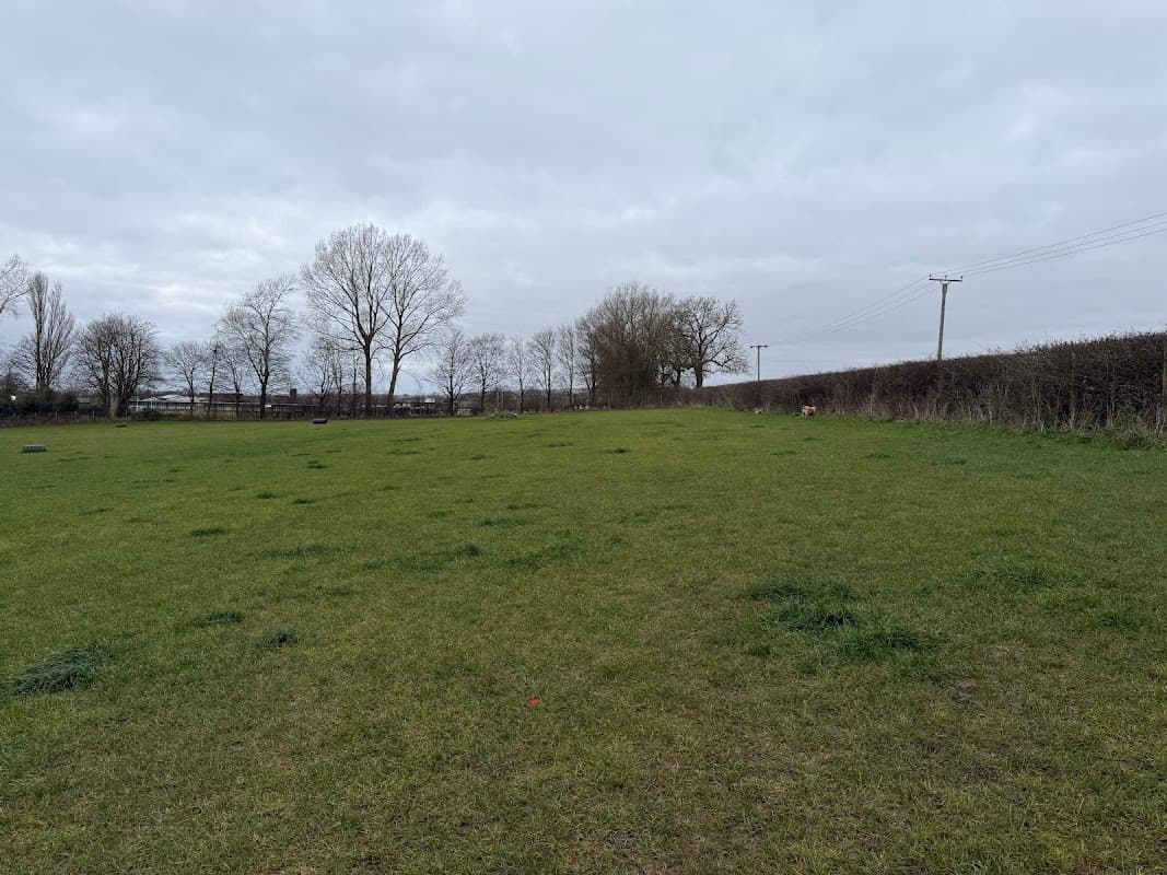 Berties Field