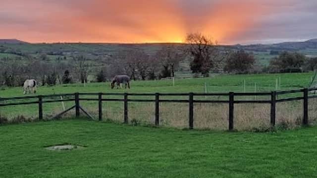 Sunset over green fields at Brookfield Farm, with horses grazing near a wooden fence in Harmby, Yorkshire.