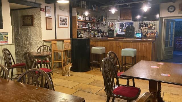 Cozy bar interior with wooden tables, chairs, a well-stocked bar, and a cat sitting on the floor.