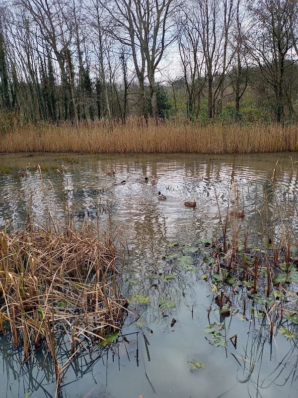 Denso Marston Nature Reserve