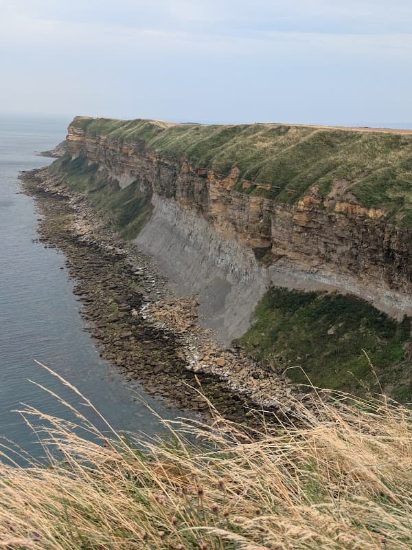 Filey Rocket Pole