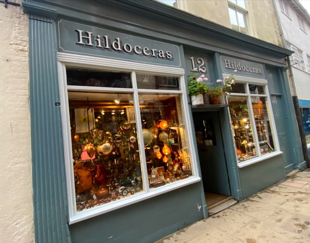 Hildoceras