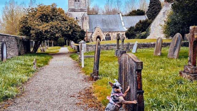 A dog stands by a gravestone in a churchyard, with St John the Baptist Church and trees in the background.