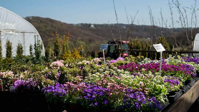 Whiteley's Farm - Family Attraction in leeds