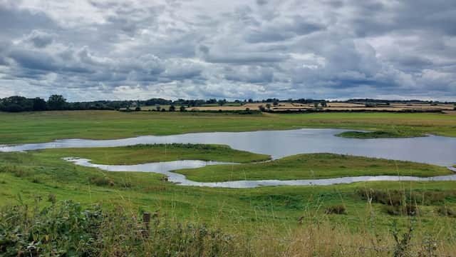 Lush green landscape with a winding waterway, under a cloudy sky, showcasing the natural beauty of Nosterfield Nature Reserve.
