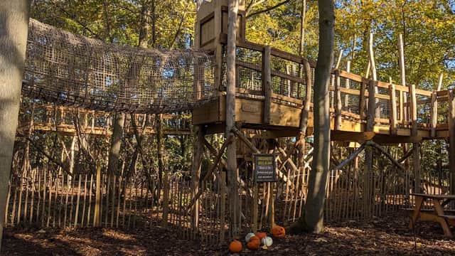 Wooden playground structure among trees, featuring climbing nets and pumpkins on the ground in autumn foliage.