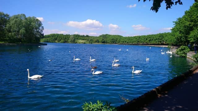 Lakeside Lake - Park in doncaster