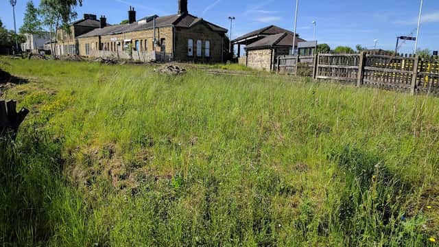 Wildflower reserve with overgrown grass, stone buildings, and blue sky at Penistone Station, Yorkshire.