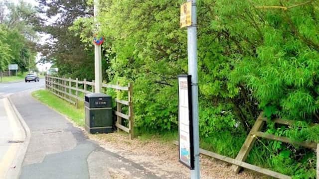 Bus stop sign at Seamer Station with greenery and a pathway nearby, surrounded by trees and a fence.