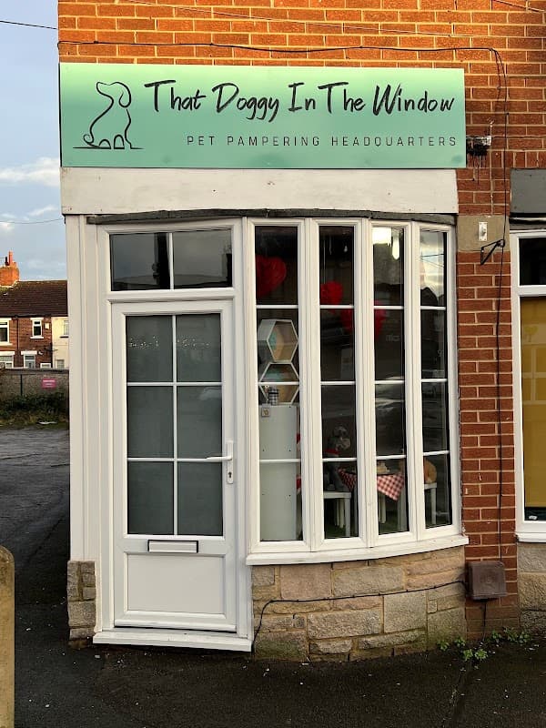 That Doggy In The Window