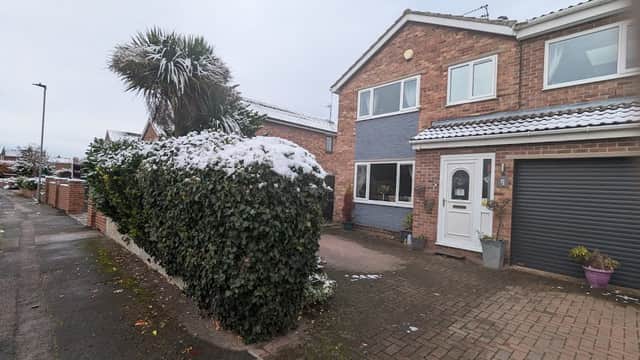 Pawsome Pad, a brick hotel with snow on hedges, palm trees, and a welcoming entrance in Carlton, Yorkshire.