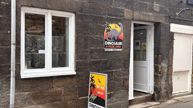 Dinosaur & Fossil Shop RHB - Gift Shops in robin hoods bay