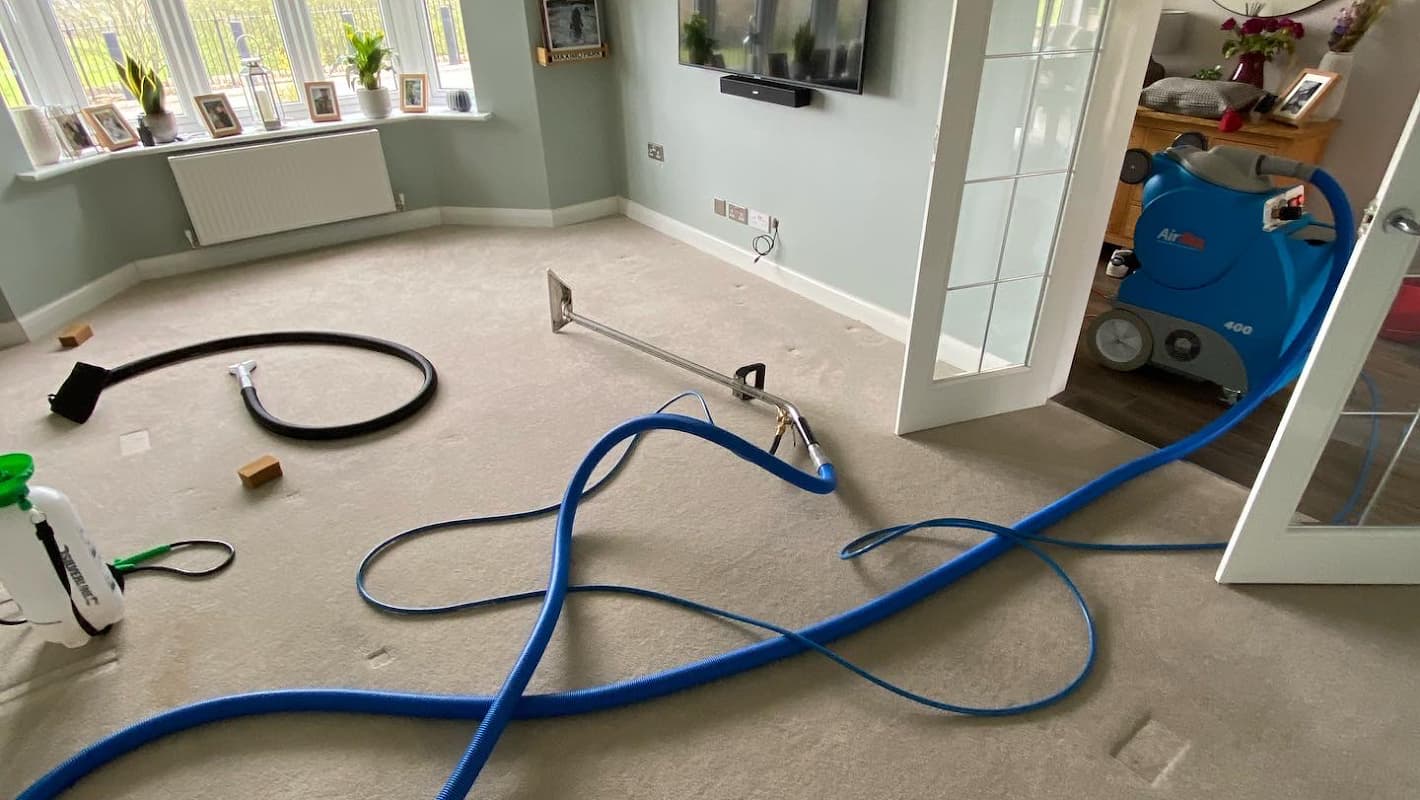 The City Cleaners