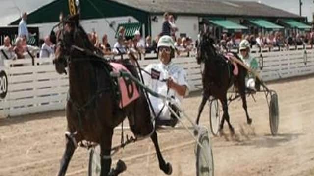 York Harness Raceway - Sports & Leisure in nun monkton