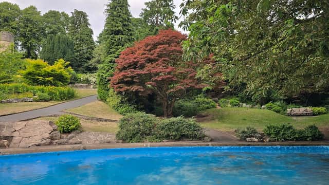 Lush garden with a vibrant red tree, green shrubs, and a blue pool, set against a cloudy sky in Bebra Gardens.