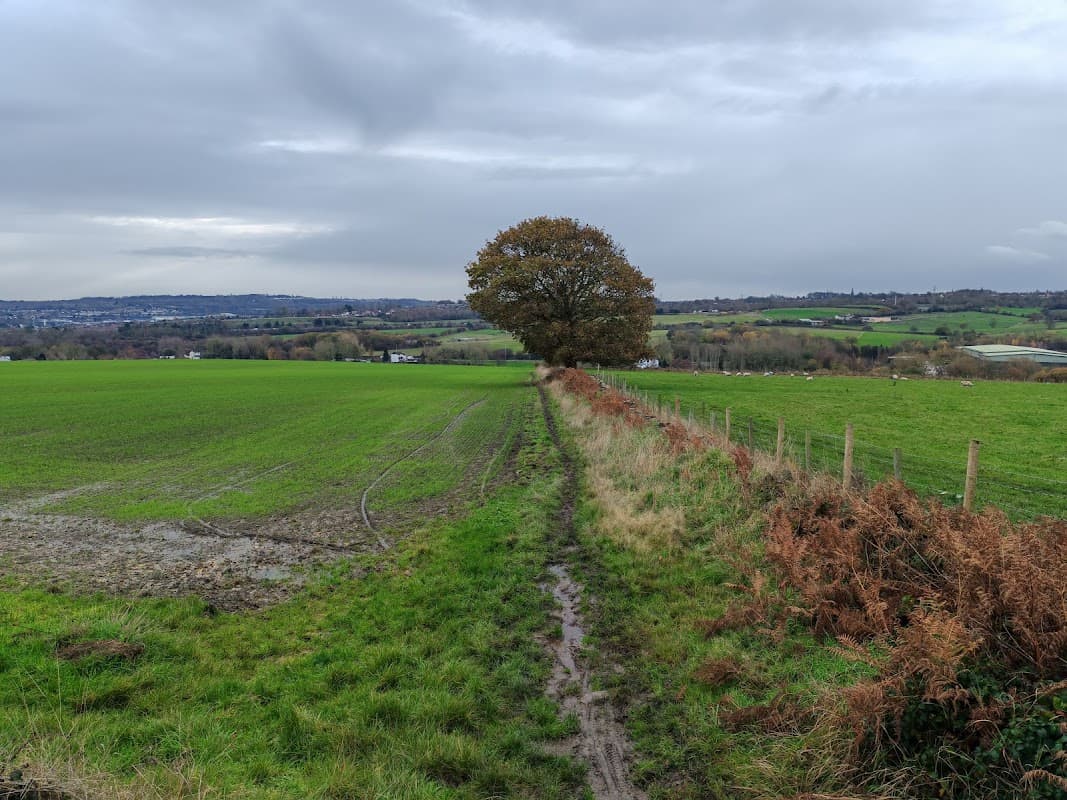Churwell Park