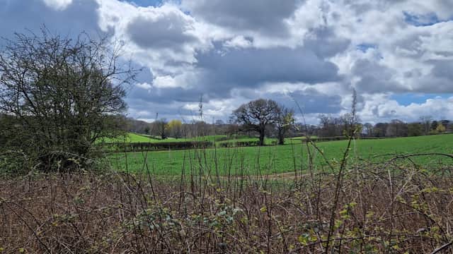 Lush green fields under a cloudy sky, with trees dotting the landscape and shrubs in the foreground.