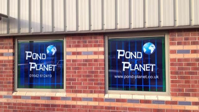 Pond Planet - Pet Shops in thornaby on tees