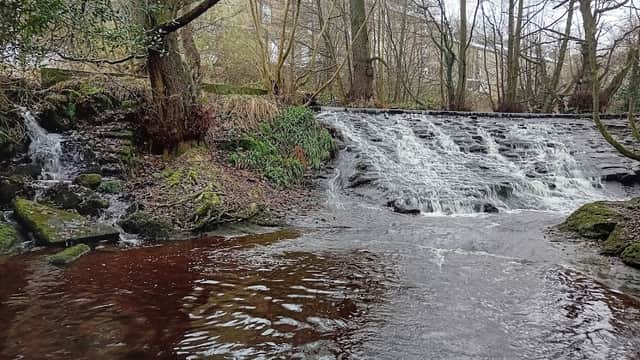 A serene waterfall cascades over rocks into a calm river, surrounded by trees and greenery in Oxenhope, Yorkshire.