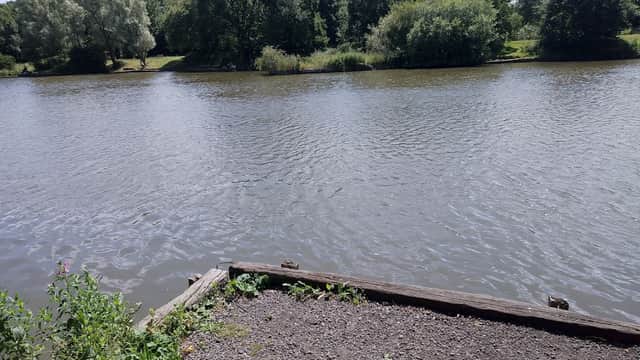 Serene view of a river bordered by trees, with a wooden jetty and grassy area in the foreground.