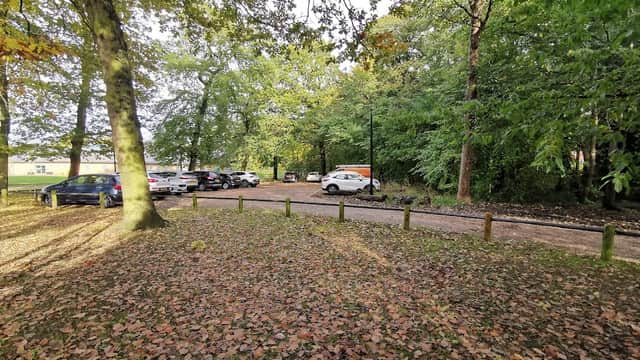 Car park surrounded by trees, with parked cars visible and fallen leaves covering the ground.