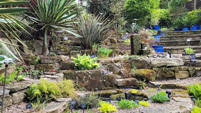 Lush garden with diverse plants, stone steps, and blue pots, creating a vibrant landscape in Clayton West, Yorkshire.