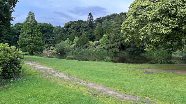 Lush green park with a path leading to a tranquil pond, surrounded by trees and shrubs under a cloudy sky.