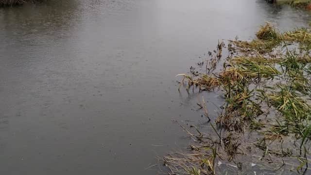 Serene pond surrounded by bare trees and grassy banks under a cloudy sky in Hutton Rudby, Yorkshire.