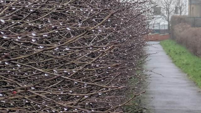 Pinderfields General Hospital Car Park - Car Parks in wakefield