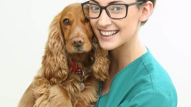 Veterinary nurse in green scrubs smiles while holding a golden cocker spaniel in a bright clinic setting.
