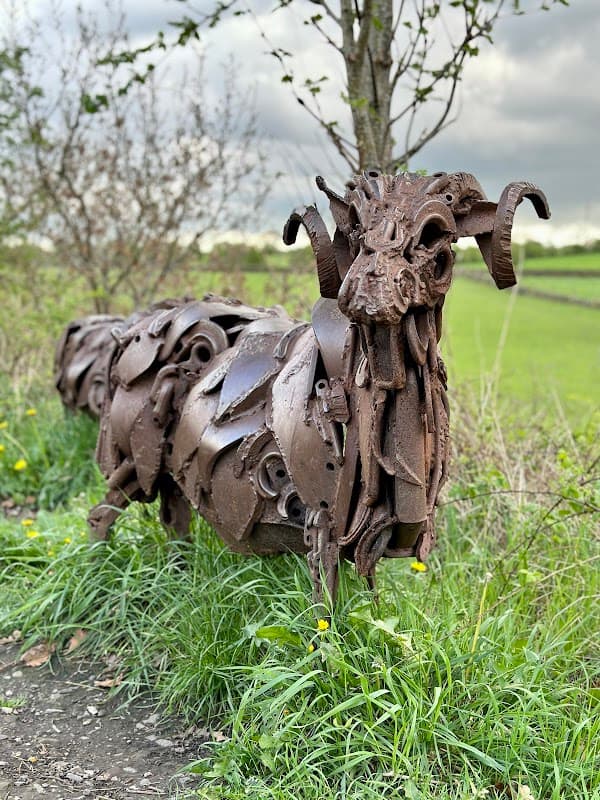Metallic Sheep