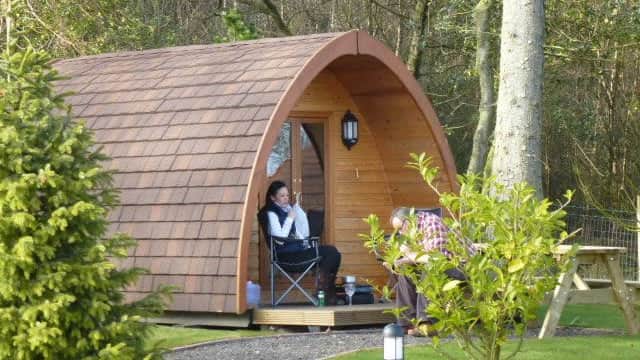 Falcon Forest Glamping - Glamping in staintondale