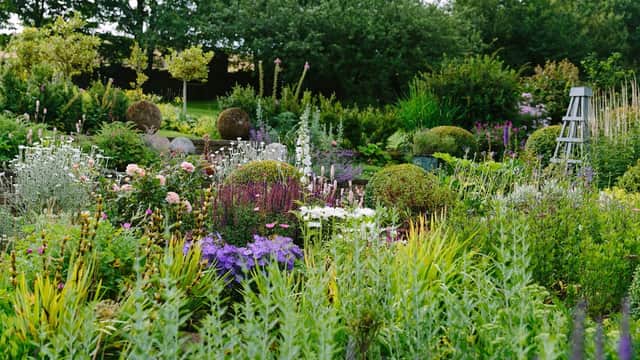 Lush garden filled with colorful flowers, greenery, and decorative topiaries at The Yorkshire Dales Flower Company.