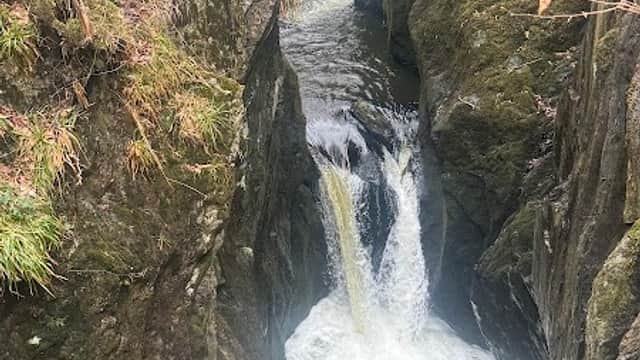 A narrow gorge with rushing water, surrounded by mossy rocks and sparse trees in a scenic, natural setting.