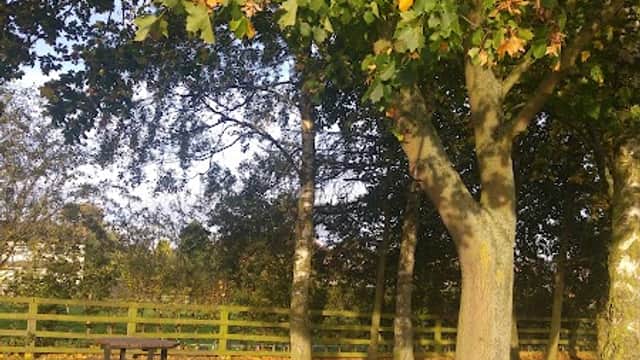 Coyle Garden - Garden in warlaby