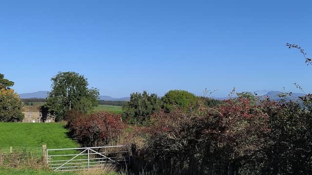 Wigglesworth Community Centre surrounded by lush greenery and trees under a clear blue sky.