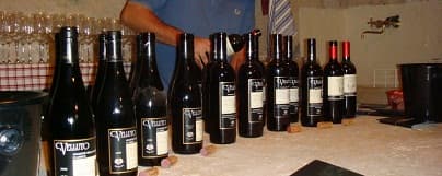 Buon Vino