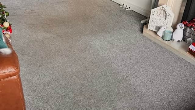 Jake n Vac Carpet & Upholstery Cleaning Specialists - Carpet Cleaners in alverthorpe