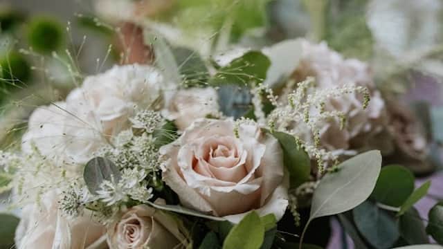 Katie Peckett Flowers Interiors & Coffee - Florists in nether edge