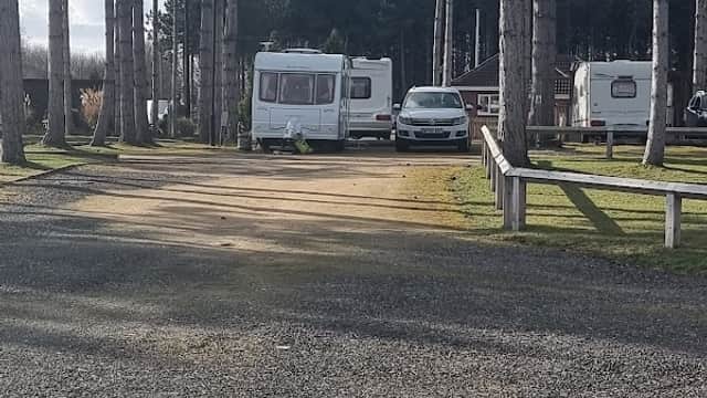 Caravan park with a gravel path, surrounded by tall trees, featuring parked caravans and a car.
