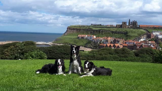Baildon Veterinary Centre - Vets in shipley