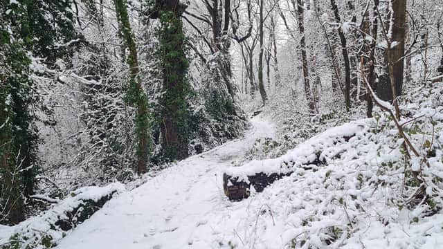 Black Bank Open Space - Park in heeley