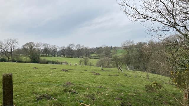 Lush green fields with scattered trees and a cloudy sky, featuring a fence and distant horses grazing.