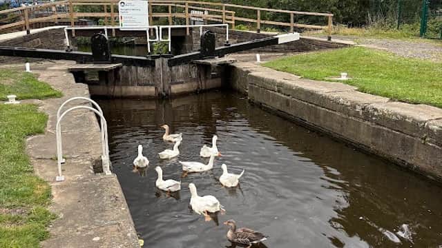 Cooper Bridge Lock 16 - Historic Site in mirfield