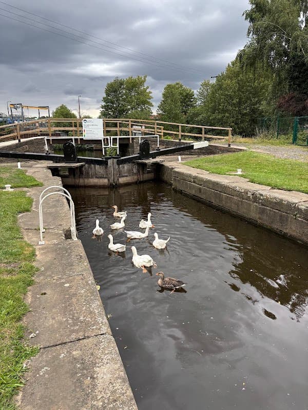 Cooper Bridge Lock 16