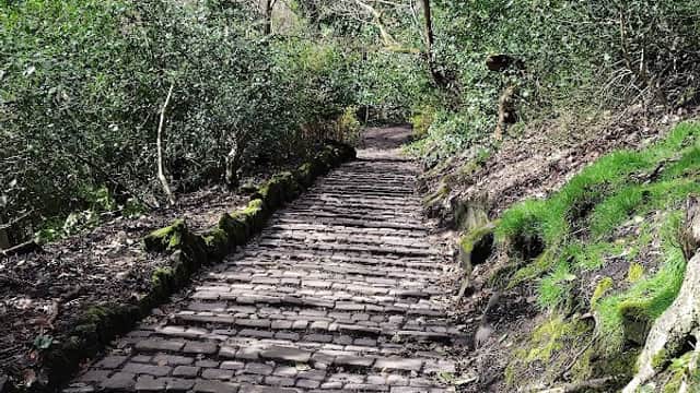 Shroggs Park - Park in halifax