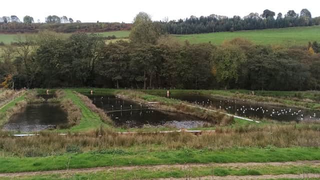 Trout farm with multiple ponds surrounded by lush greenery and trees in Ellerburn, Yorkshire.